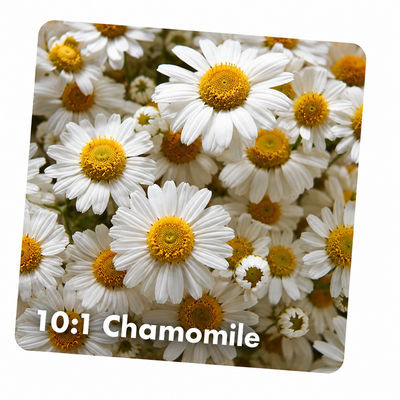 Chamomile