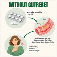 GutReset